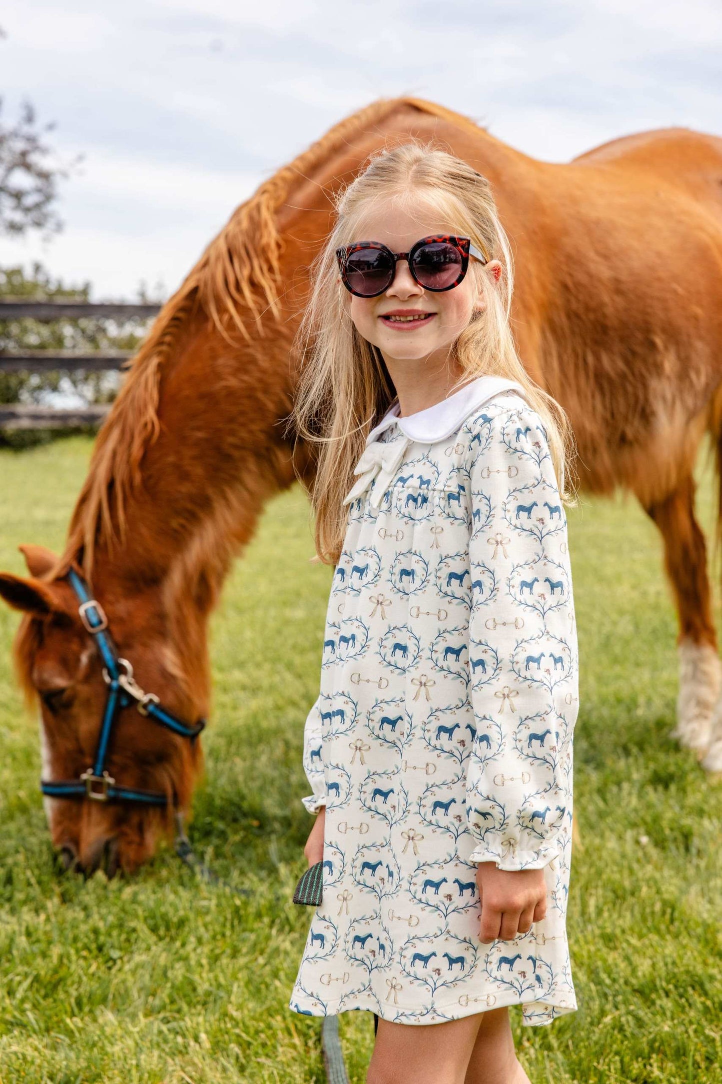Long Sleeve Banks Bow Dress- Horses